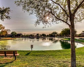 Palmen Maricopa - Maricopa