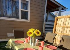 Rocky Mountain Views in a Quiet Country Setting. Sleeps 6 - Alamosa - Patio