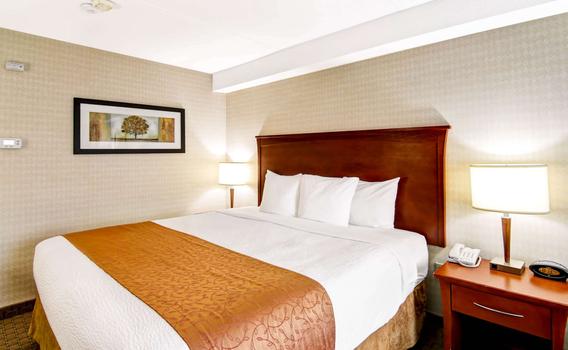 Quality Inn C 91 C 1 6 0 Kitchener Hotel Deals Reviews