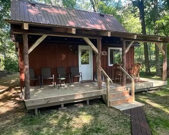 Will-Liv Cabin , 2 new cabins for larger family groups - Dansville - Patio