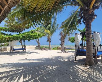 Driftwood Beach Lodge - Jambiani - Strand