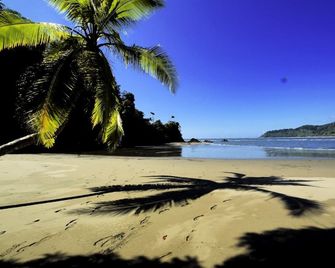 Boat,tours & Staff Included! Luxury Rainforest & Waterfront Hm,adventure Awaits! - Sierpe - Beach