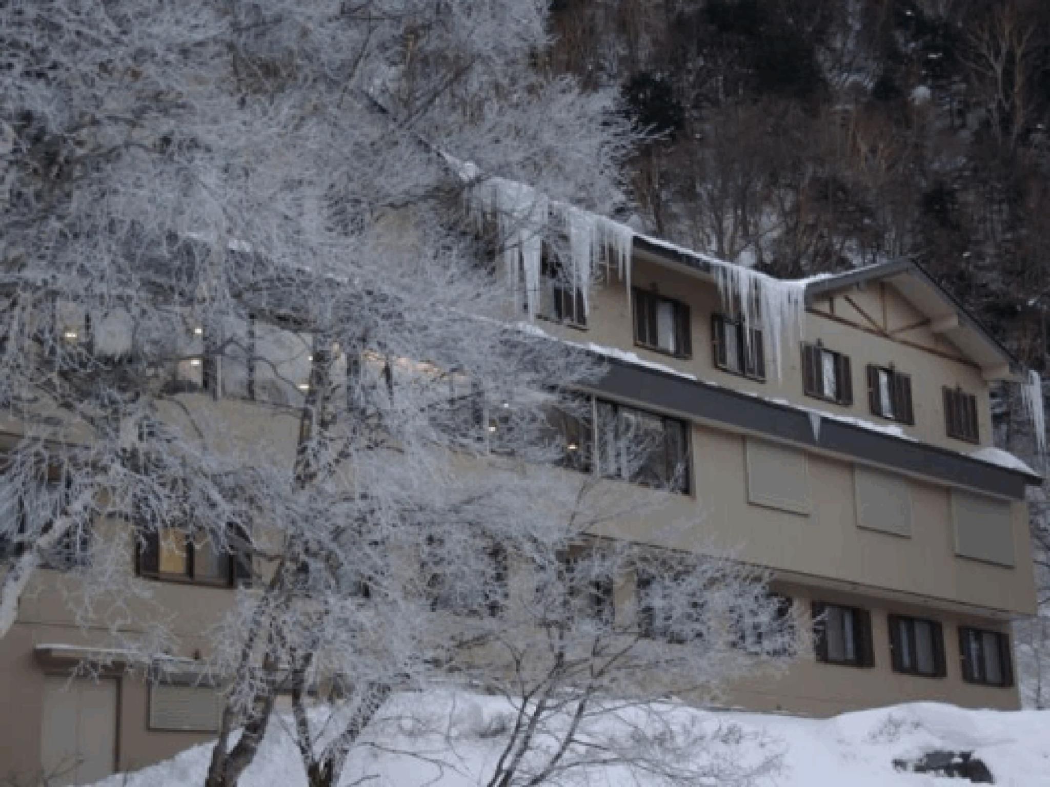 تايسيويكي هوتل، كاميكوتشي