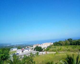 Annex Grand View Situated In The Lush Green Hill Of Three Hills Near Ocho Rios - Tower Isle - Vista del exterior