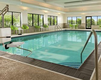 Hampton Inn Chicago-O'Hare Int'l. Airport - שילר פארק - בריכה