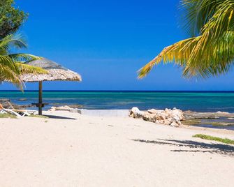 Lawson Rock - Angelfish 100 - Sandy Bay - חוף