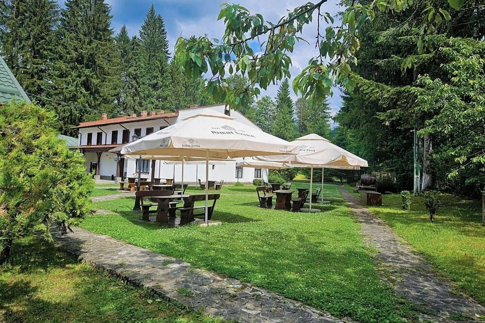 بنسيونيا راين