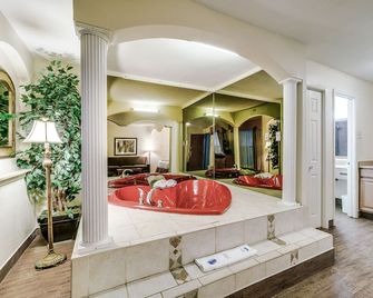 Quality Inn and Suites Dallas-Cityplace - Dallas - Badrum