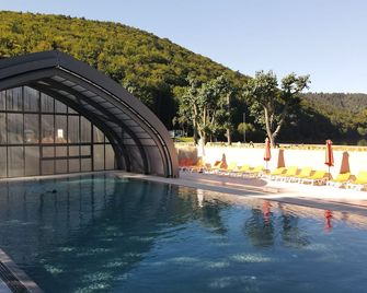Hotel Domaine Du Lac Chambon - Murol - Zwembad