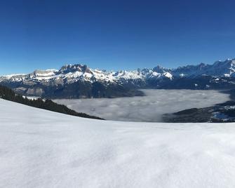 3 apartment with mont-blanc view in detached house - Cordon - Prestation de l’hébergement