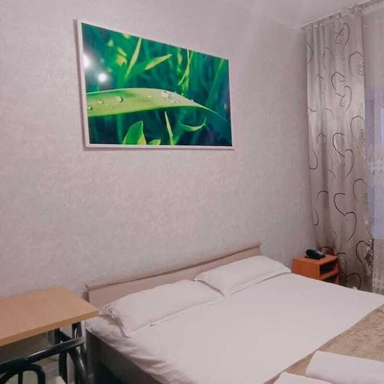 Altyn-Adam Hotel image 1