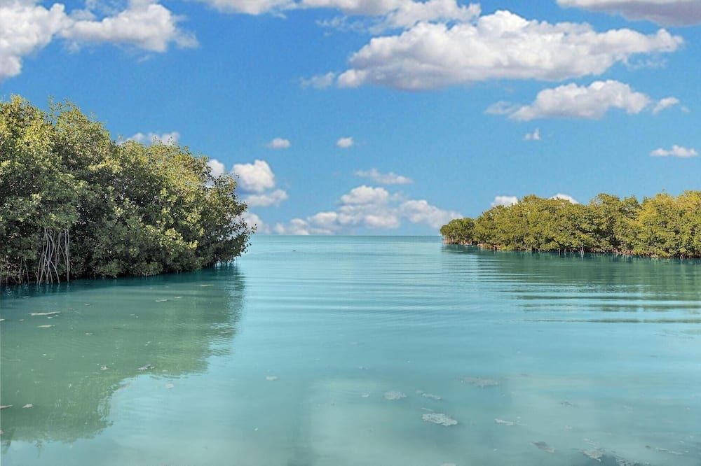 Tropical Cottages - Marathon - Outdoor view