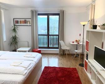 Aparthotel Faust - Děčín - Chambre