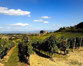 Antica Pieve B&B - Tavarnelle Val di Pesa - Venkovní prostory