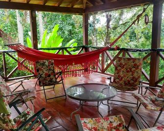 las Gitanas, en Medio de Colores, Paisajes Maravillosos y Animales de Granja - Fredonia - Patio