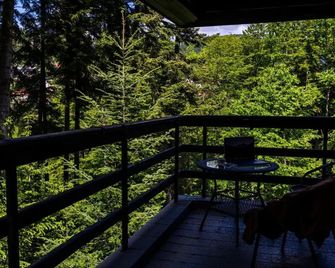 Hotel Smart - 布拉索夫 - 陽台