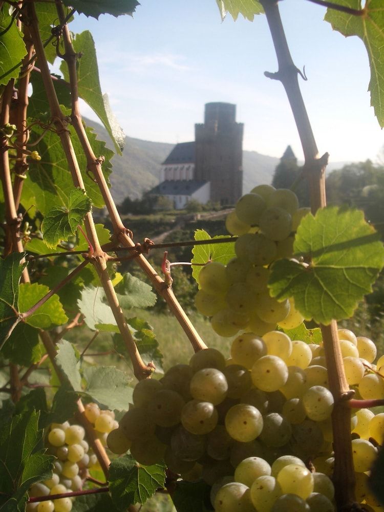 Gasthaus Weingut Stahl - Oberwesel