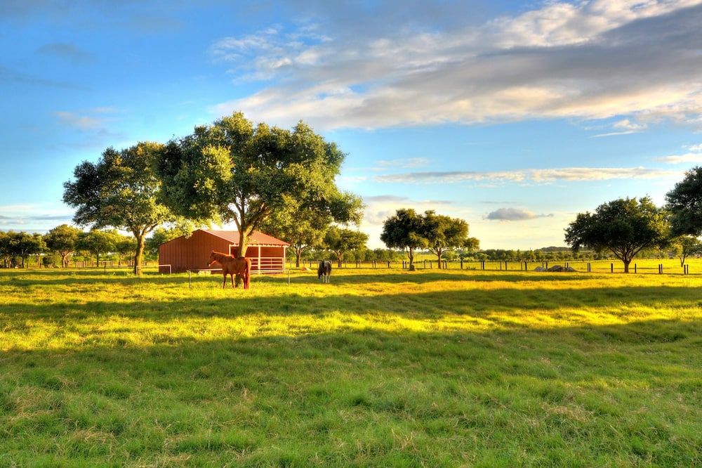 Tumble Weed Cabin of Lonesome Wind Ranch - Floresville - Outdoor view