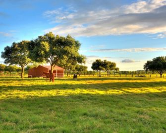 Tumble Weed Cabin of Lonesome Wind Ranch - Floresville - Venkovní prostory