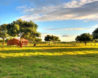 Tumble Weed Cabin of Lonesome Wind Ranch - Floresville - Outdoor view