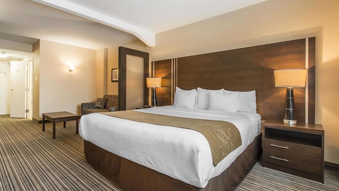 Comfort Suites Downtown