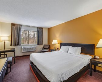 Econo Lodge Whitehall near Michigan's Adventure - Whitehall - Slaapkamer