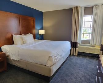 Comfort Inn Bessemer Birmingham South - Bessemer - Schlafzimmer