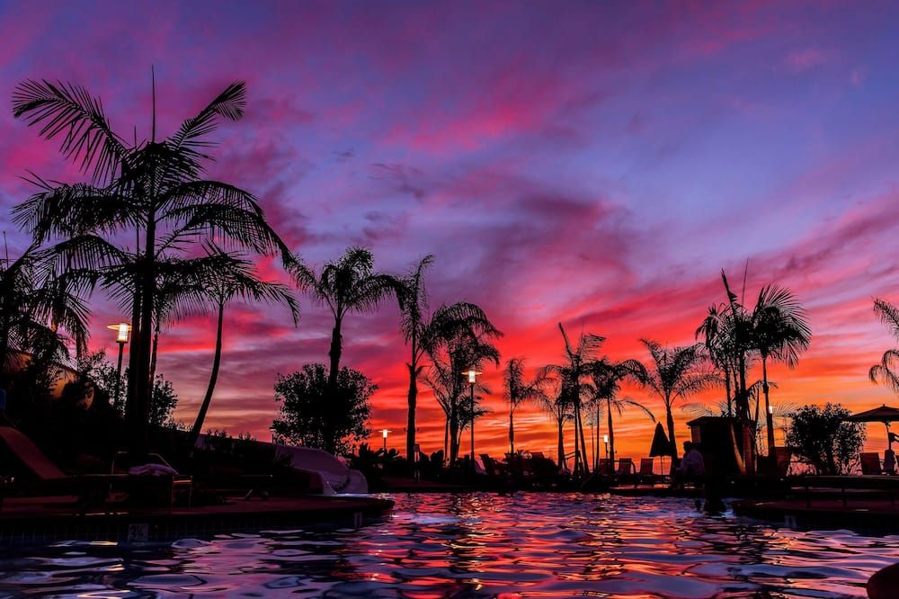 Hotel Solea, Autograph Collection