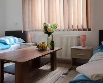 Guesthouse Vila Puzic - Bania Luka - Habitación