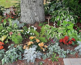 Wild Rose Bed & Breakfast - Saskatoon - Outdoors view