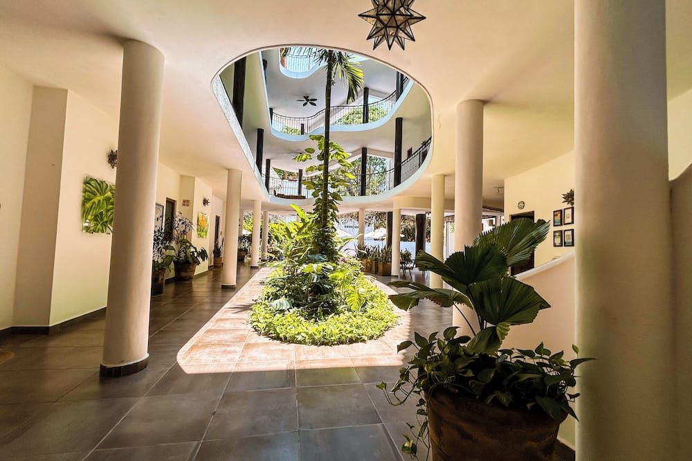 Hotelito Los Sueños - סאיוליטה - לובי