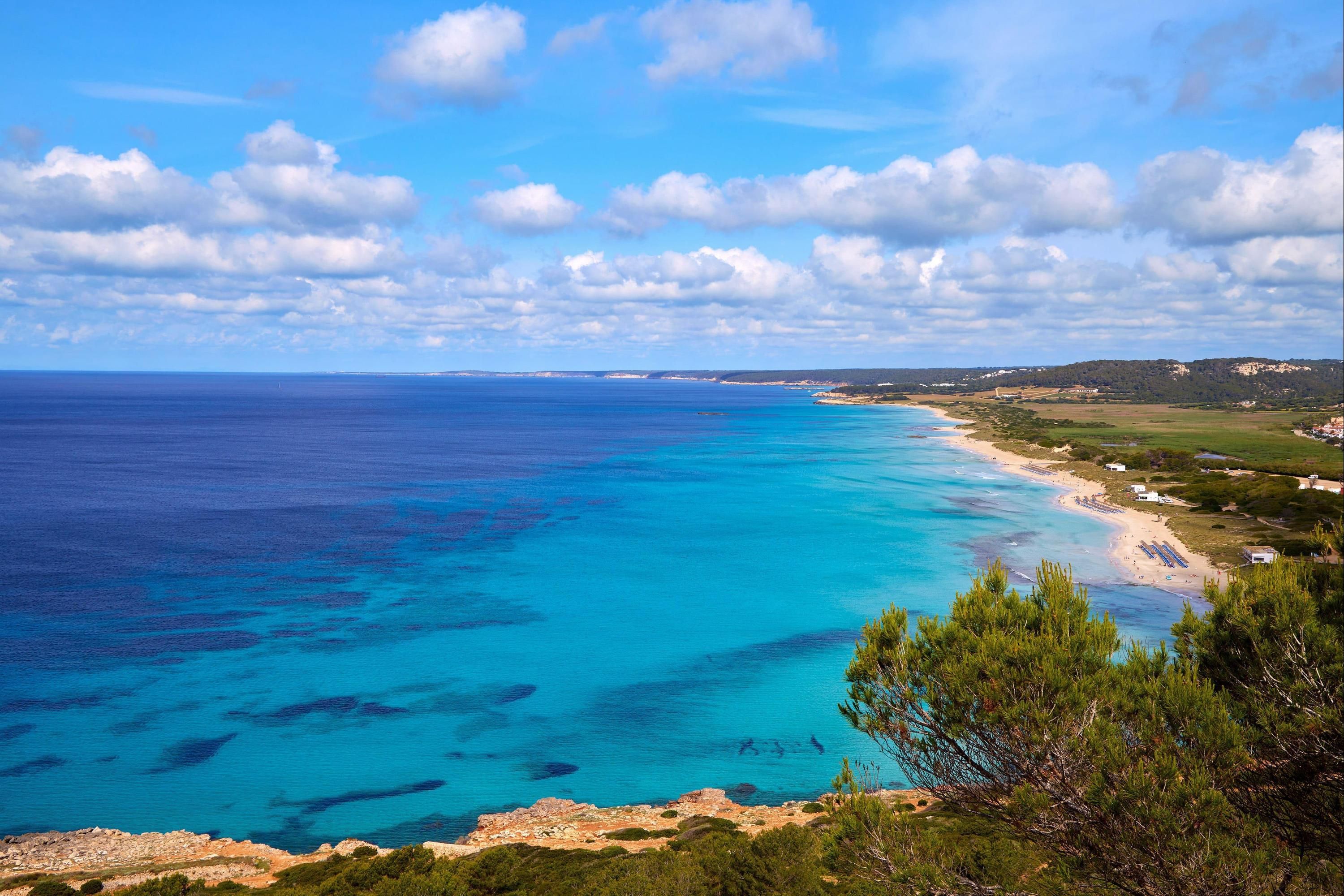 Sol Milanos Pingüinos