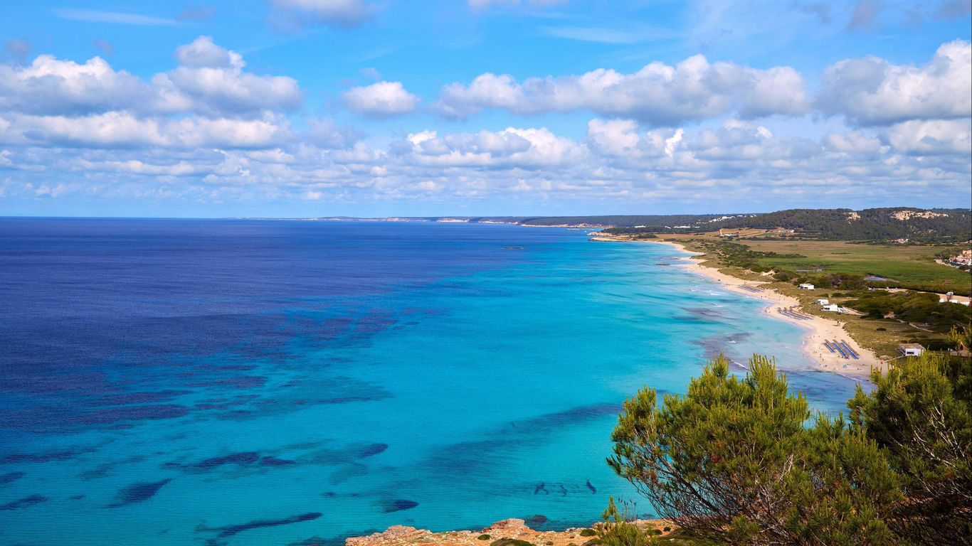 Sol Milanos Pingüinos