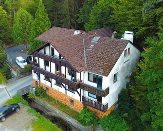 Landgasthaus zur Hammermuhle - Wallenfels - Edificio