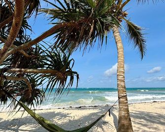 Charming beach-front cottage in Tiwi for easy-going friends with AC and WiFi - Tiwi - Plage