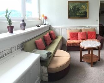 Appartements Maison Bellevue - Munster - Salon