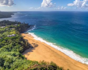 23 Acre Estate, Ocean and Sunset Views, Hot Tub, Private Beach Access, Jungle! - Kilauea - Beach