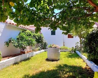 Pansion Ivan & Ivana - Bol - Patio