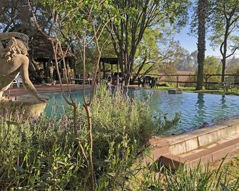 Hills And Dales Accommodation - Lanseria - Piscina