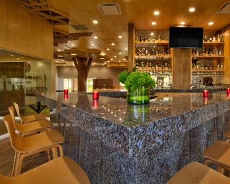 Galeria Plaza Irapuato - Irapuato - Bar