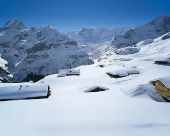 Apartment Chalet Chiebrendli by Interhome - Grindelwald - Prasarana properti