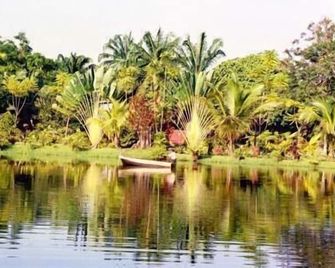 Sepilok Jungle Resort - Sandakan - Outdoor view