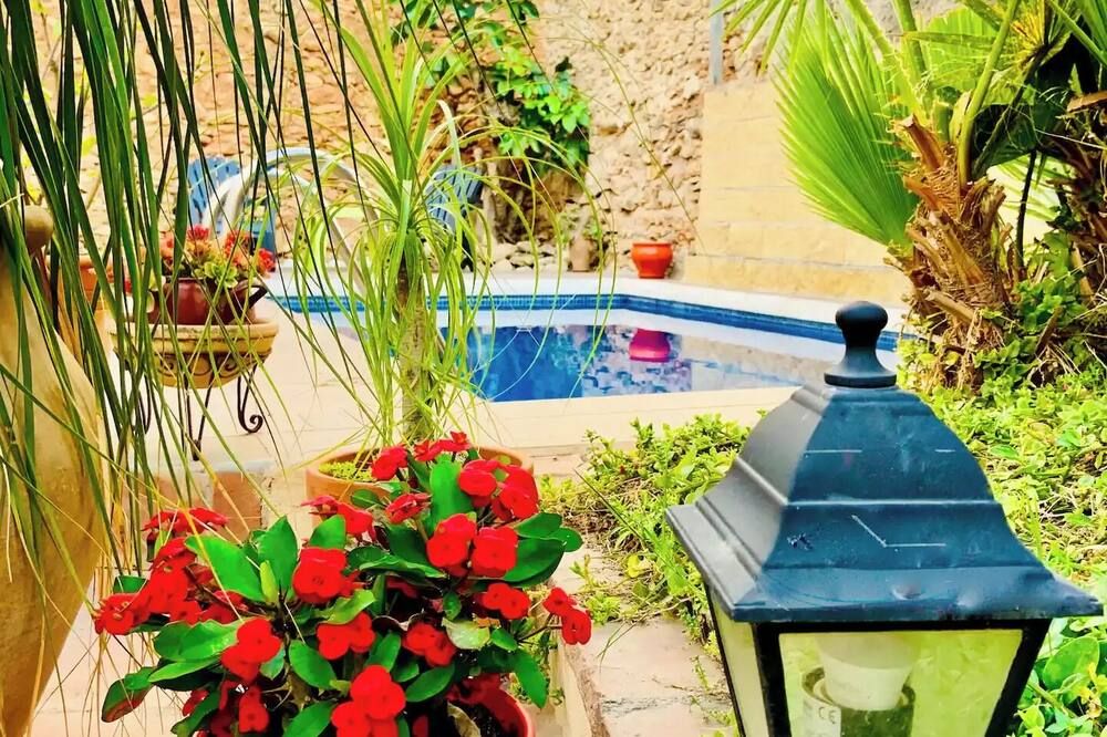 Boutique Hostal Lorca - נרחה - בריכה