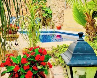 Boutique Hostal Lorca - נרחה - בריכה