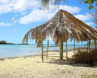 Lovely 1 Br Bayfront Apt - Walk To Town & Shops In Gov Harbour. Great Rates! - Governor’s Harbour - Beach