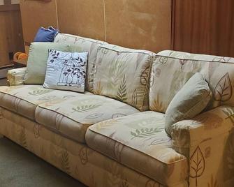 Charming 4-bedroom house with AC and WiFi in Springfield just outside city limit - Springfield - Living room