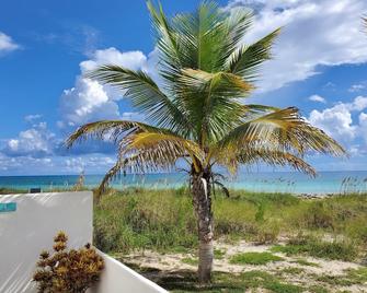 Bahamian Beachfront Paradise, directly on the beach! - Freeport - Utomhus