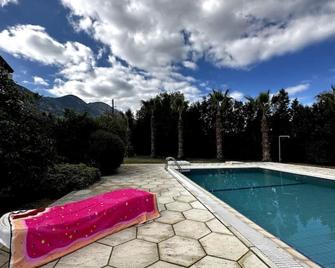 Villa Palmer - Luxury Four bed Villa With Pool - Lápithos - Pool