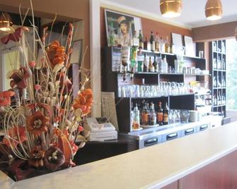 Hotel Restaurant Rive Gauche - Bessines-sur-Gartempe - Bar