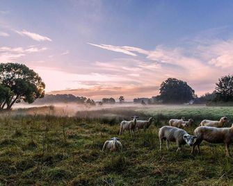Hotel-Appartementen Klaver Vier - Nieuwolda